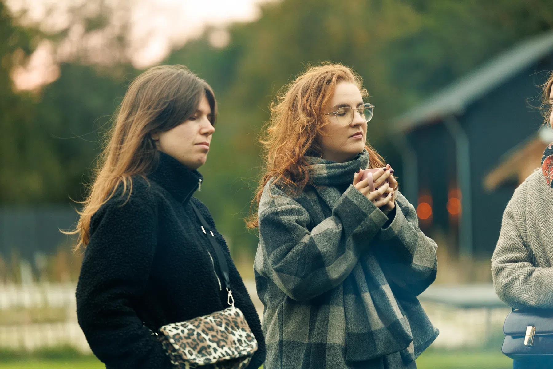 Meditatie voor een wandeling en yogales in Friesland